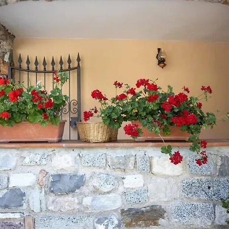 Casa Rita 1-lago Di Garda