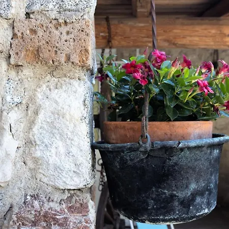 Casa Rita 1-lago Di Garda Lejlighed